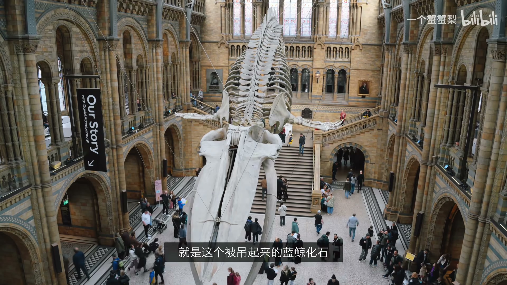 自然历史博物馆 场景截图