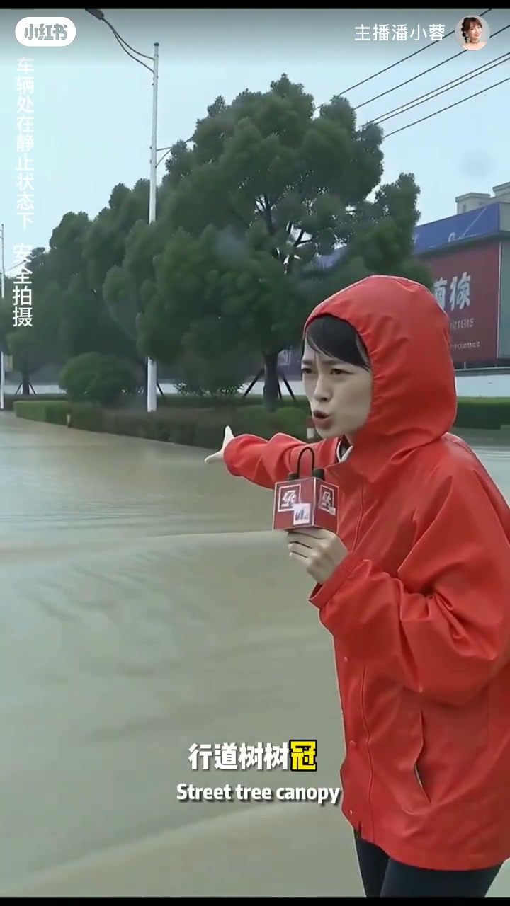 暴雨出镜记者指着积水路段，字幕「行道树树冠」