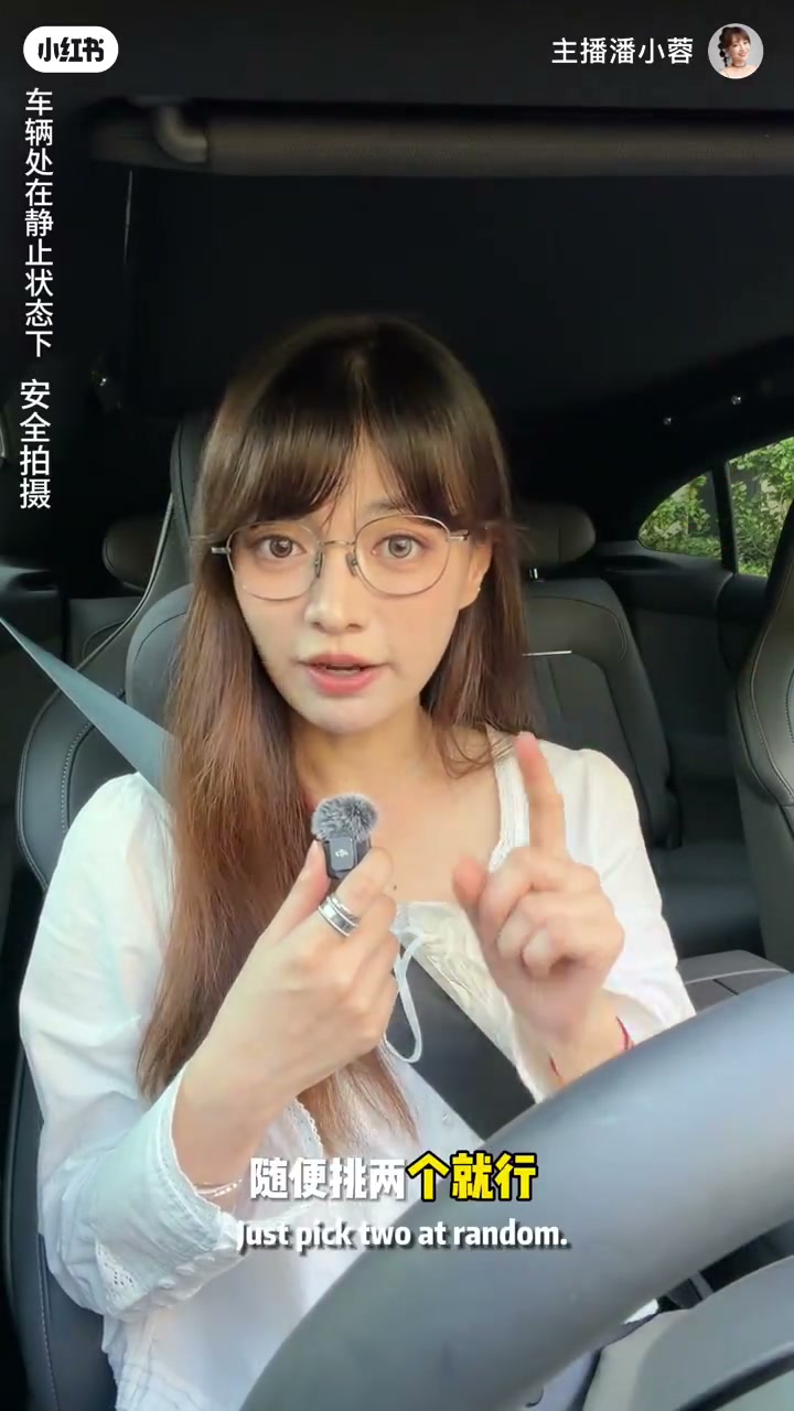 车内讲解举手示意，字幕「随便挑两个就行」